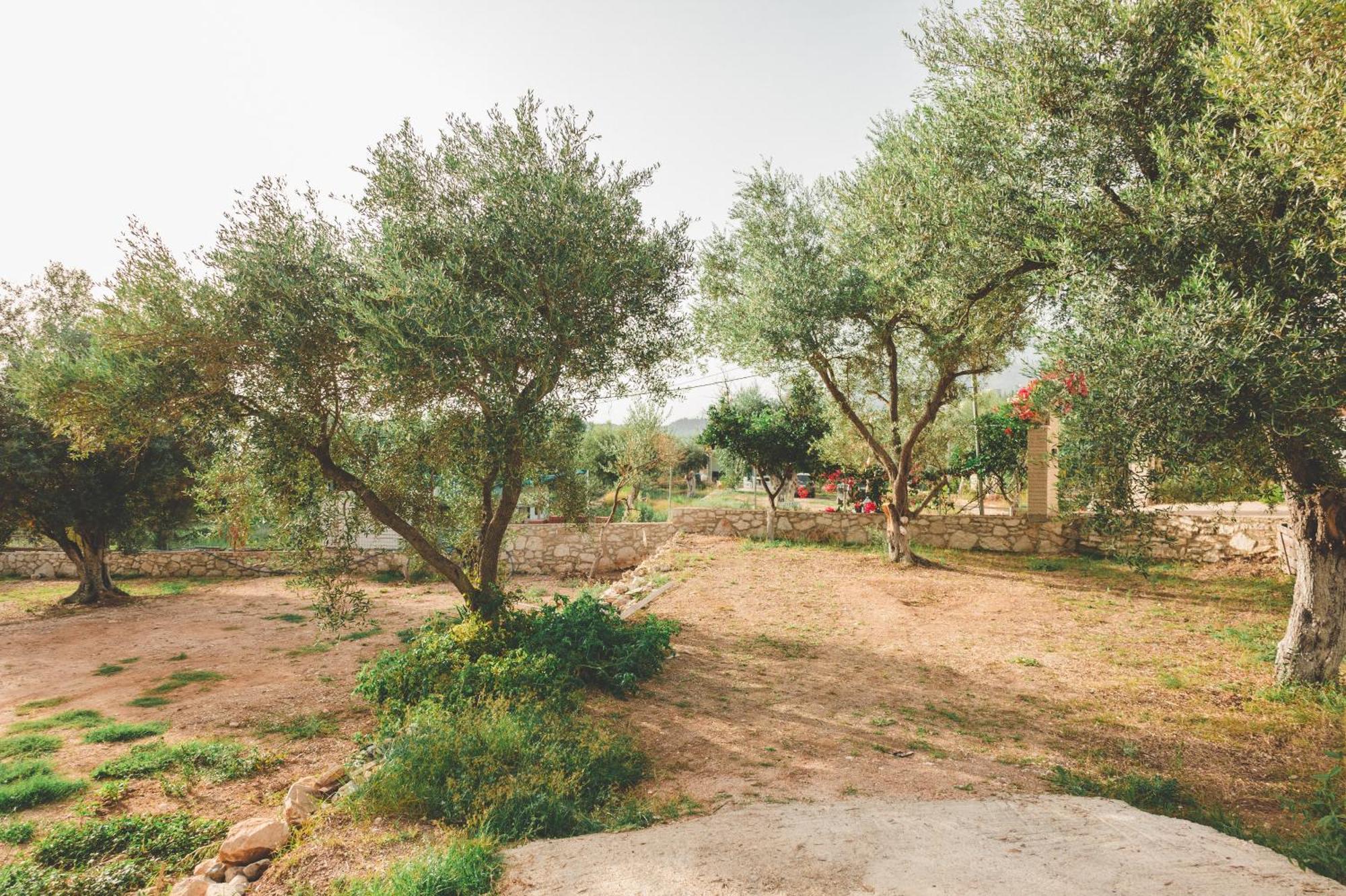 Olive Camping Himara Zewnętrze zdjęcie