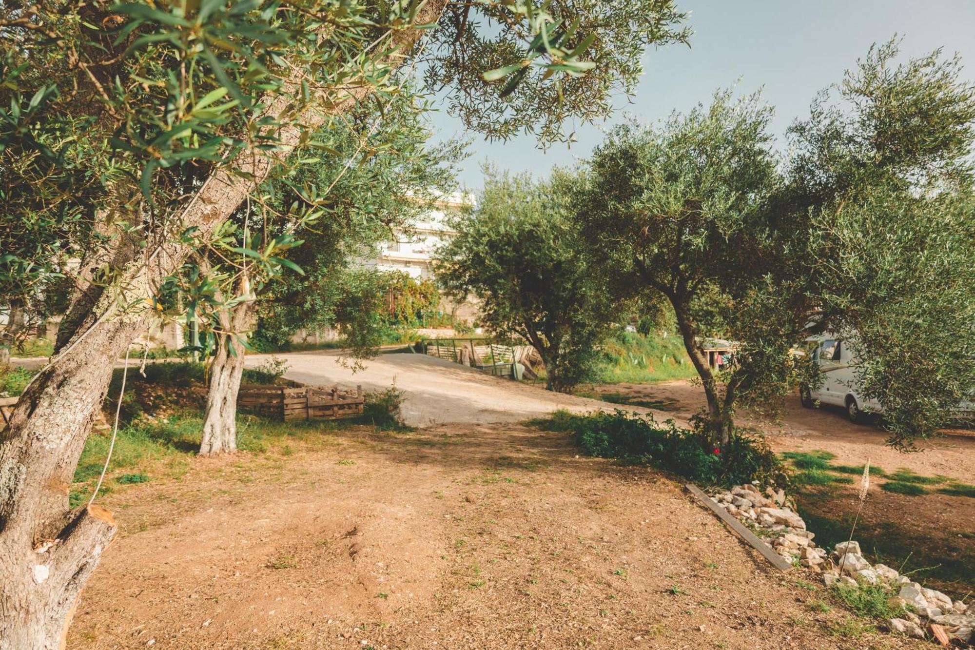 Olive Camping Himara Zewnętrze zdjęcie