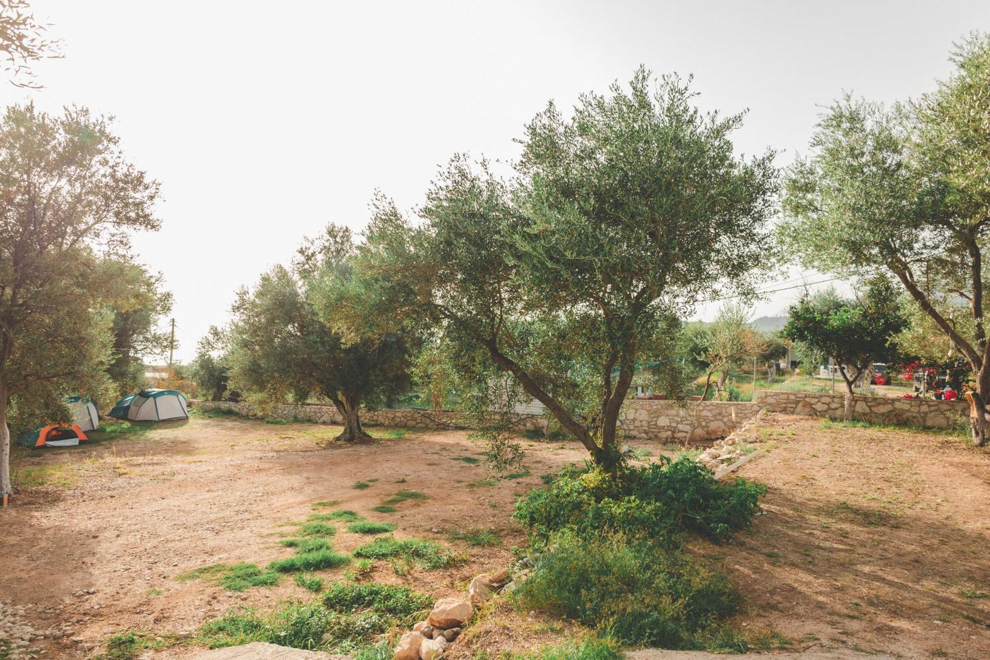 Olive Camping Himara Zewnętrze zdjęcie