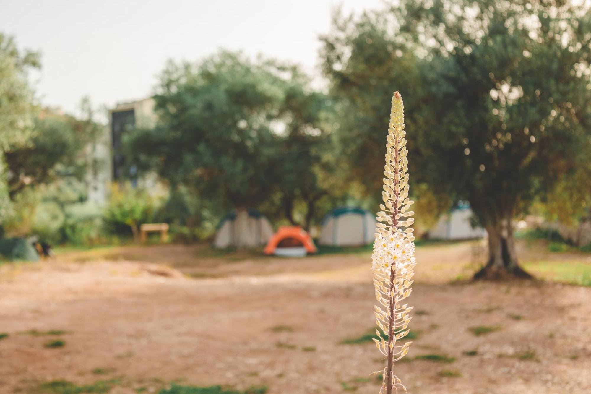 Hotel Olive Camping Himara Zewnętrze zdjęcie