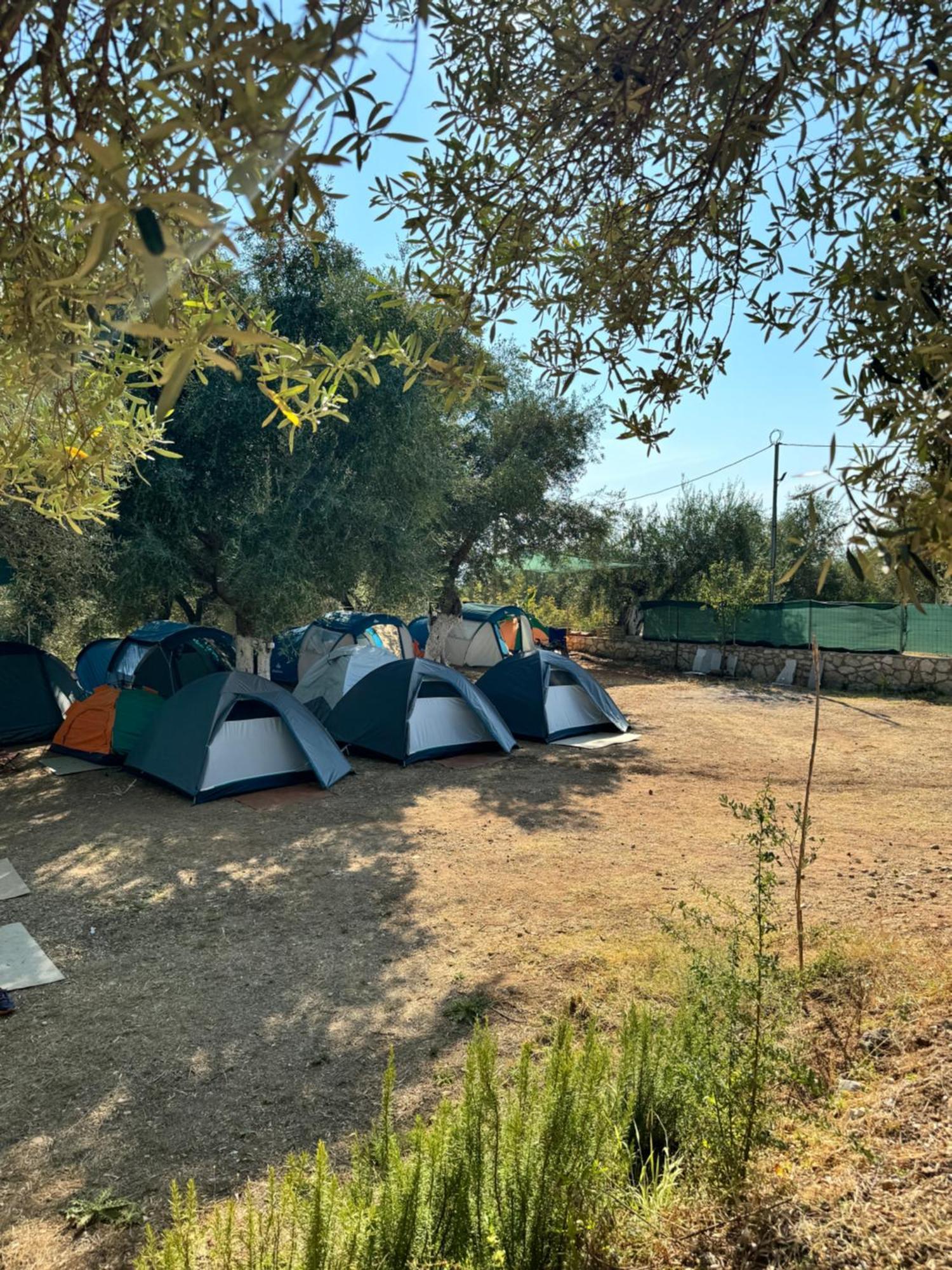 Olive Camping Himara Zewnętrze zdjęcie